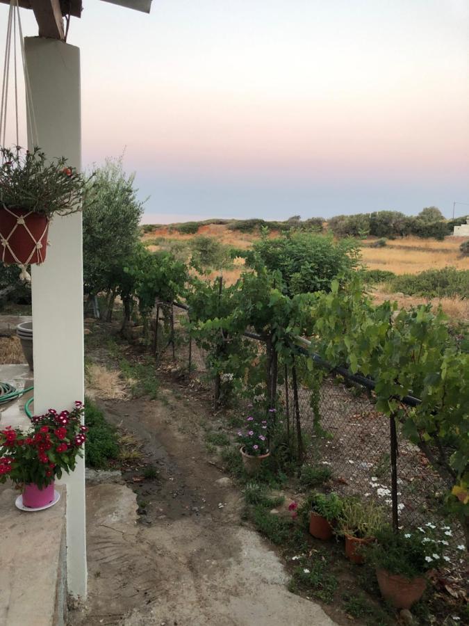 Ambelakia Bungalow Monemvasziá Kültér fotó